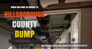 Hillsborough County Dump: Paint Purchase Options