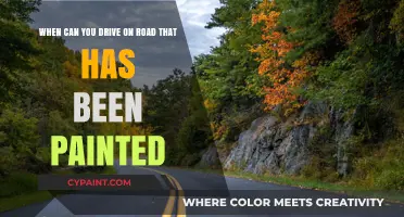 Freshly Painted Roads: When Is It Safe to Drive?