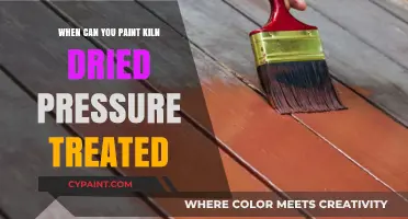 Reviving Your Deck: When to Paint Kiln-Dried Pressure-Treated Wood
