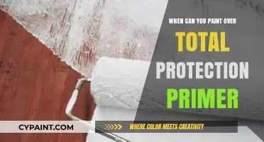 Revamping Your Walls: When to Paint Over Total Protection Primer