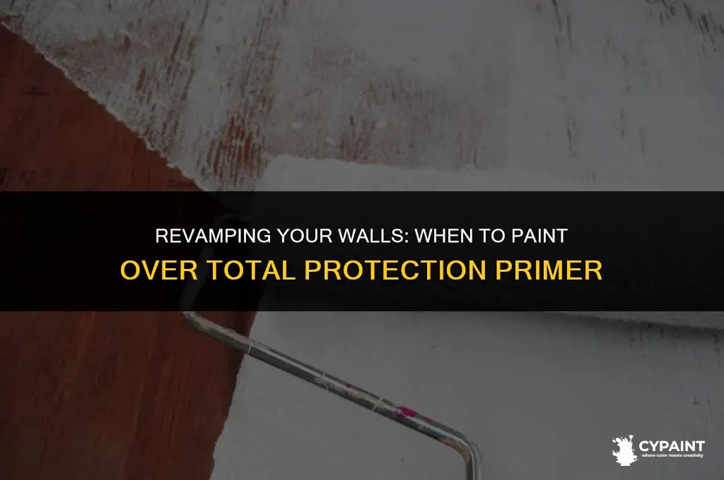 when can you paint over total protection primer