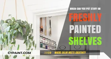 Freshly Painted Shelves: How Long to Wait Before Use?