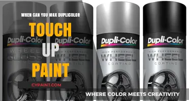 Revive Your Ride: The Perfect Timing for Dupli-Color Touch-Up Paint