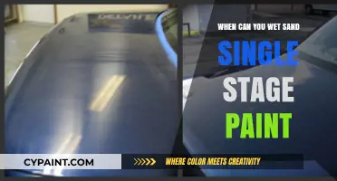 Mastering the Art of Wet Sanding Single Stage Paint