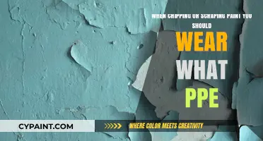 Safeguard Your Health: Essential PPE for Paint Chipping and Scraping