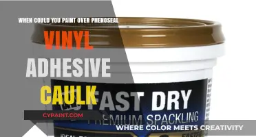 Caulk and Paint: The Best Timing for a Perfect Finish