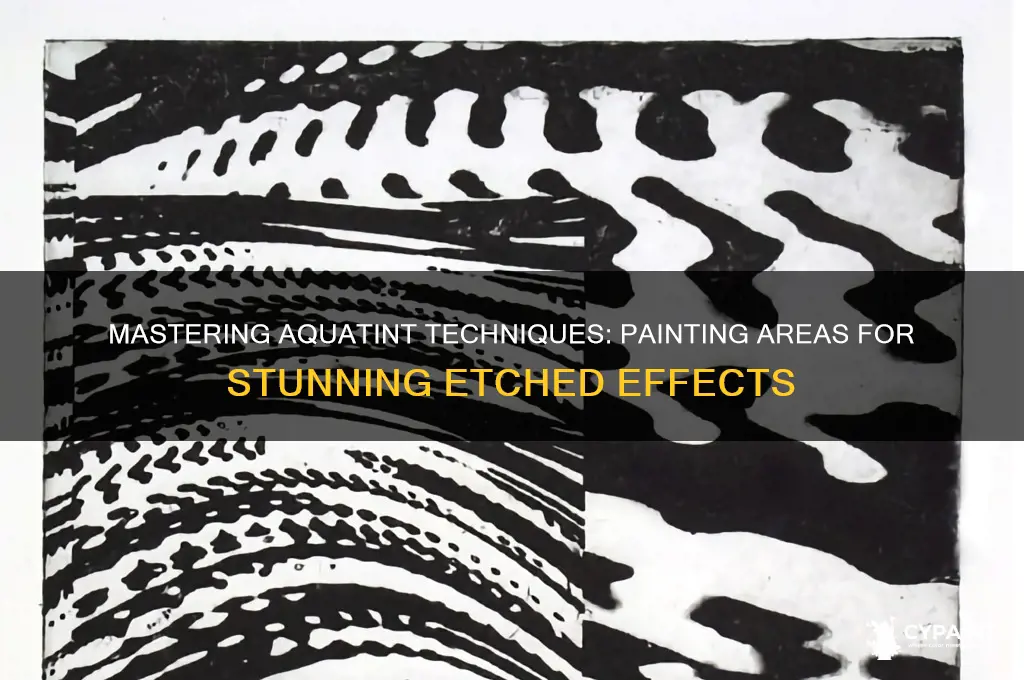 when creating an aquatint areas that are painted