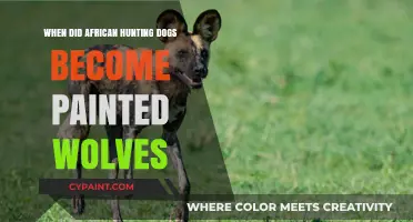 Painted Wolves: The Evolution of African Hunting Dogs' New Name