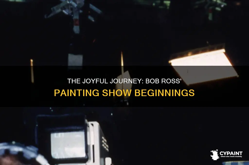 when did bob ross start his painting show