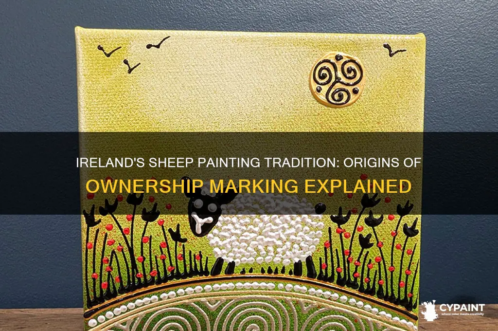 when did ireland start painting sheep for ownership