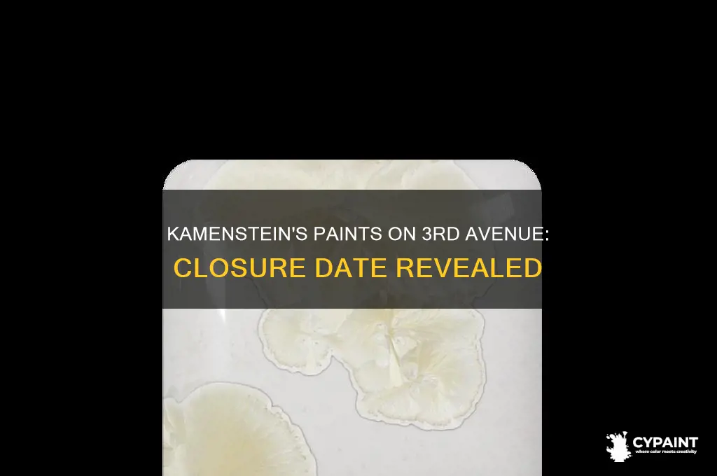 when did kamensteins paints on 3rd avenue close