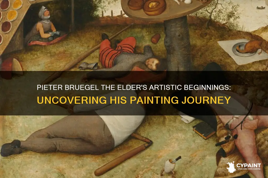 when did pieter bruegel the elder start painting