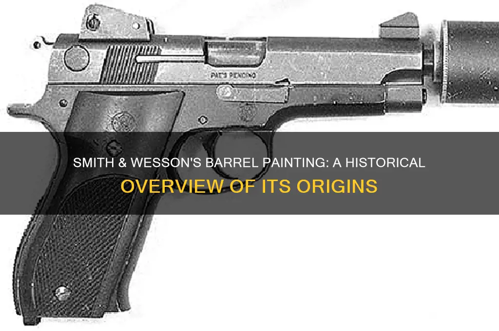 when did smith & wesson start painting their barrels