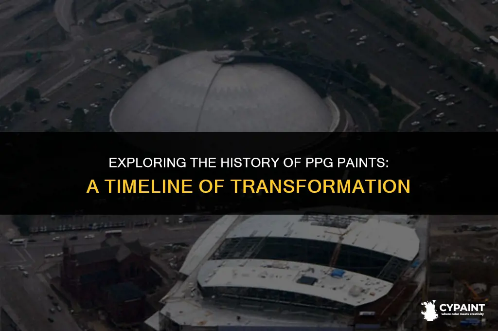 when did they change the name to the ppg paints
