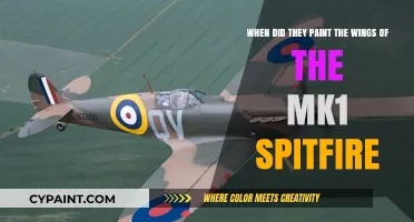 Unveiling the Mystery: The Spitfire Mk1's Wing Painting Timeline