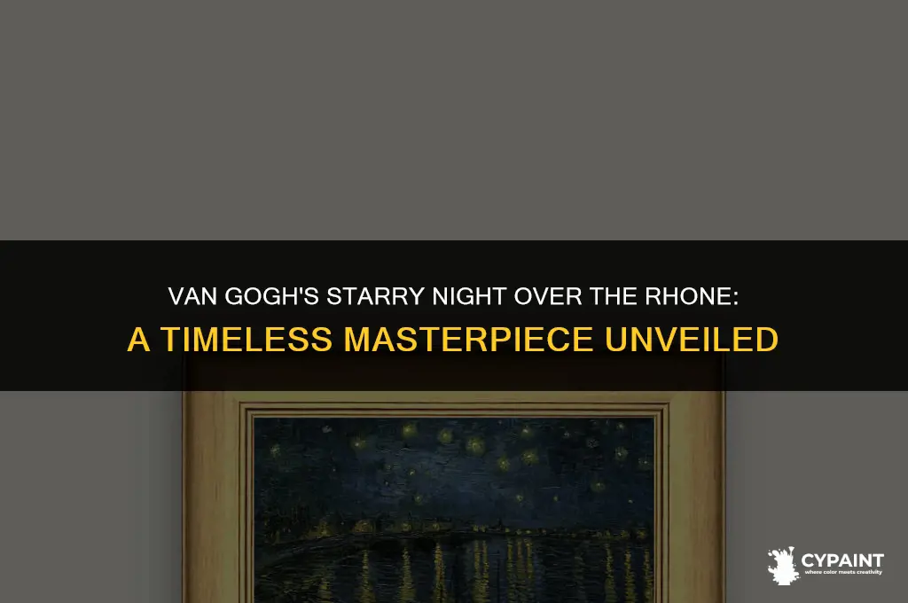 when did van gogh paint starry night over the rhone