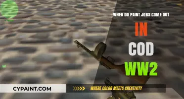 WWII Weapon Paint Jobs: Release Dates and Details
