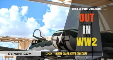 When Did WWII Aircraft Paint Schemes Evolve: A Historical Overview