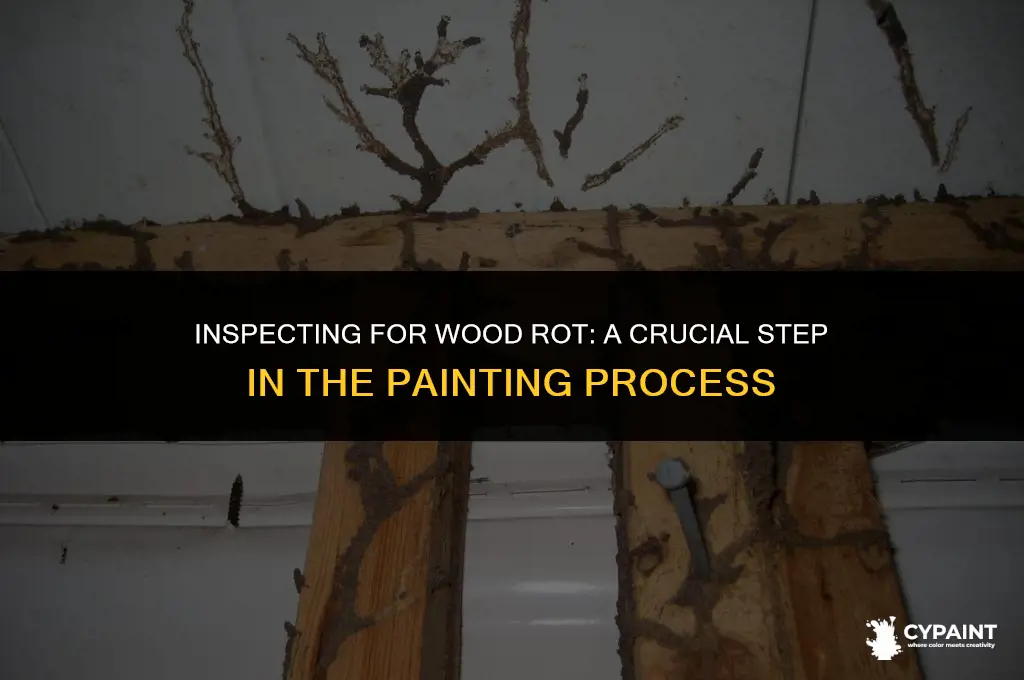 when do painters check for woodrot in the painting process