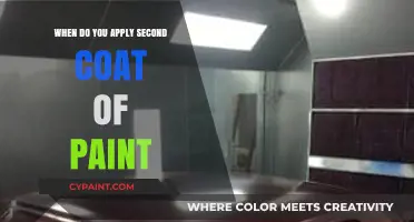 Perfect Timing: Applying the Second Coat of Paint for Flawless Results