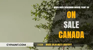 Benjamin Moore Paint Sales in Canada: Best Time to Buy