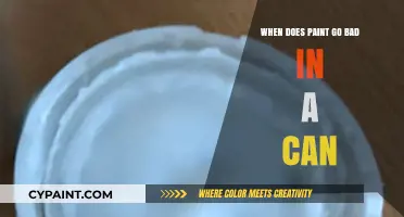 Decoding Paint Expiration: A Guide to Shelf Life and Quality