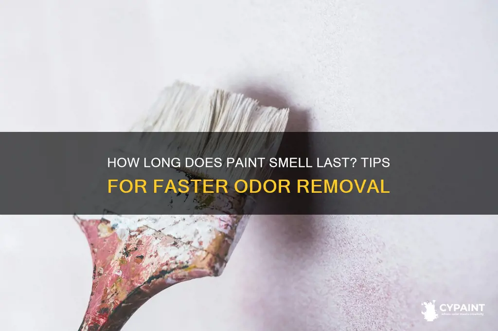 when does the smell of paint go away