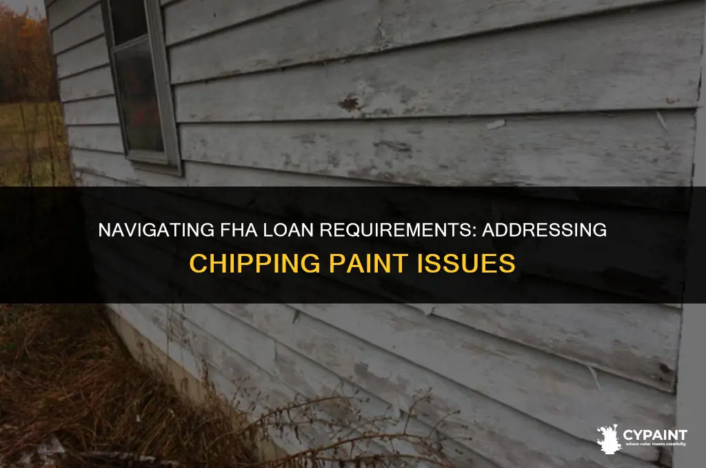 when ficing chipping paint for fha loan what is expected