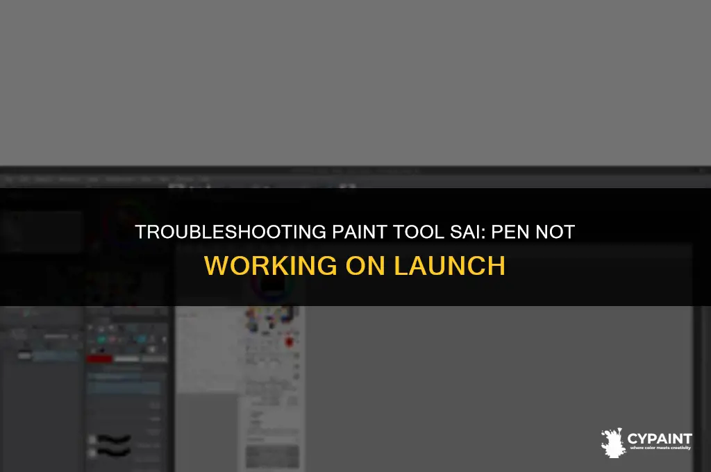 when i launch paint tool sai my pen won