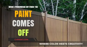 Power-Washing Fence: Paint Problems and Solutions