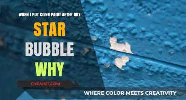 Unveiling the Mystery: Why Cilene Paint Bubbles After Dry Star