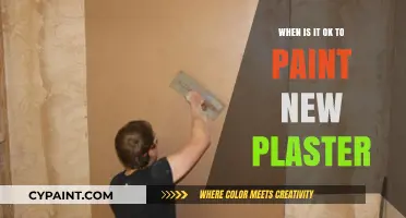 Perfect Timing: When to Paint Freshly Applied New Plaster