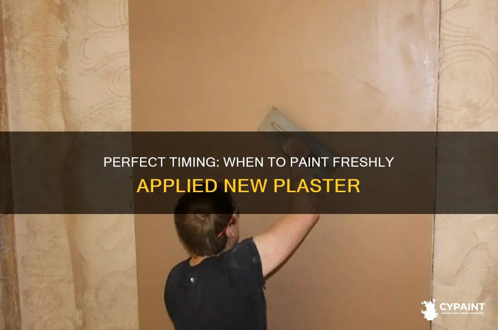 when is it ok to paint new plaster