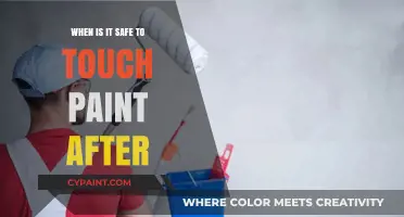 Safe Paint Touching: Timing and Tips for a Smudge-Free Finish