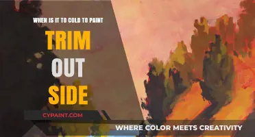 Chilly Brushstrokes: The Ideal Temperature for Outdoor Trim Painting