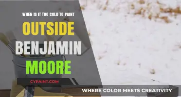 Chilly Brushstrokes: When Cold Weather Puts a Freeze on Outdoor Painting