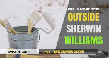 Chilly Brushstrokes: When to Hold Off on Outdoor Painting