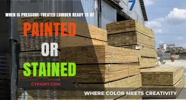 Optimal Timing for Painting or Staining Pressure-Treated Lumber