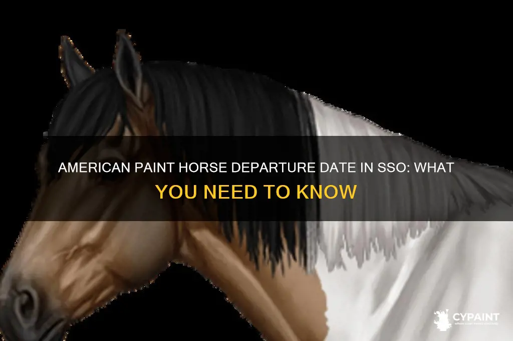 when is the american paint leaving in sso