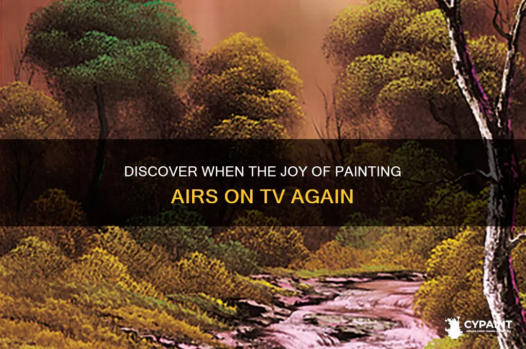 when is the joy of painting on tv