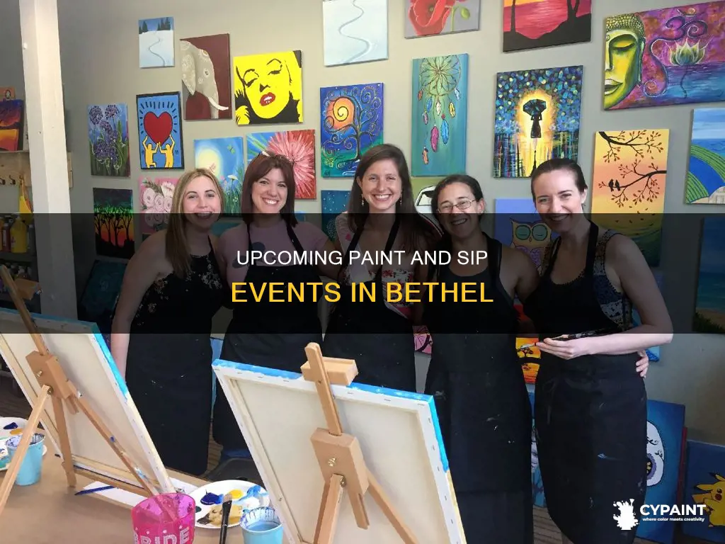 when is the next paint and sip in bethel