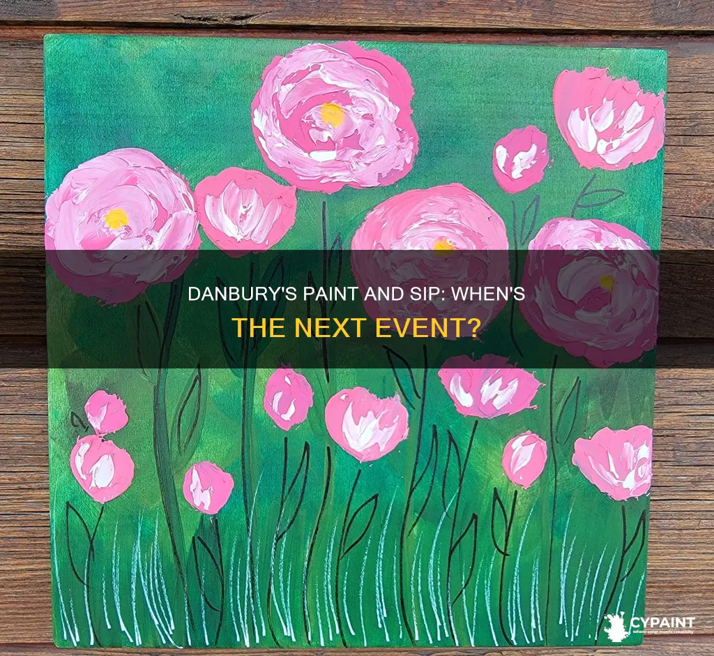 when is the next paint and sip in danbury