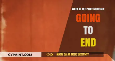 When Will the Paint Shortage End? Insights and Predictions