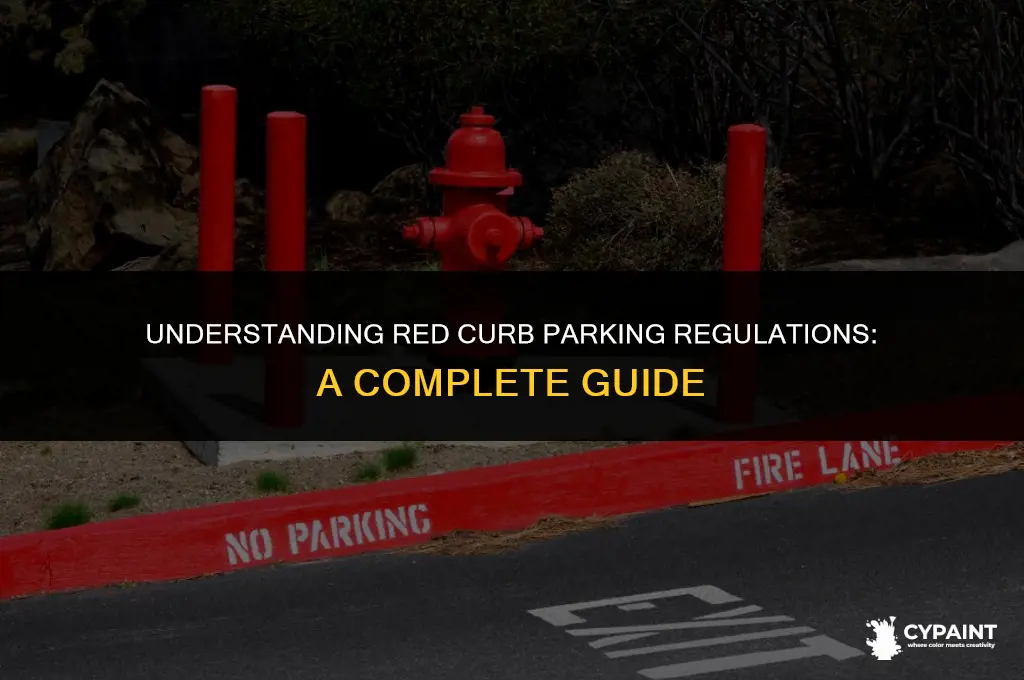 when may you park next to a curb painted red