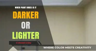 Does Paint Dry Darker or Lighter? Unveiling the Color Transformation Mystery