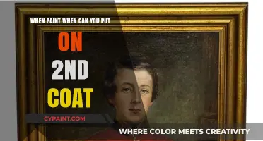 How Long to Wait Before Applying a Second Coat of Paint
