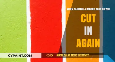 Mastering the Art of Second Coats: A Painter's Guide