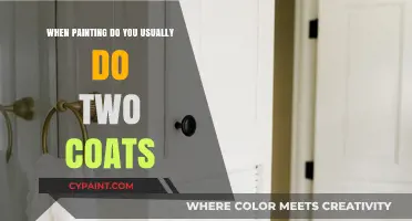 Mastering Paint Application: Why Two Coats Are Often Essential for Perfection