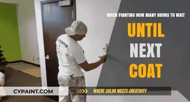 Mastering the Art of Patience: Optimal Waiting Time for Your Next Paint Coat