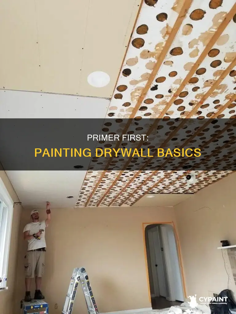 when painting new drywall typically you should do what